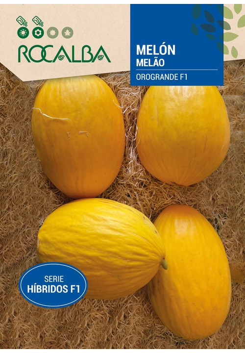 MELON OROGRANDE