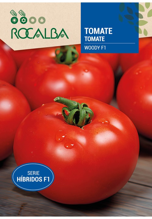 TOMATE WOODY
