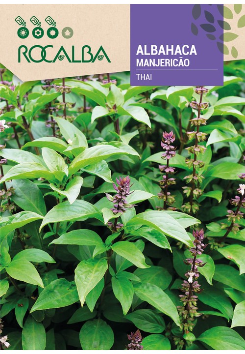 ALBAHACA THAI