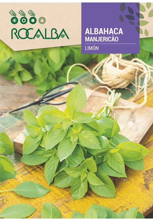 ALBAHACA LIMÓN
