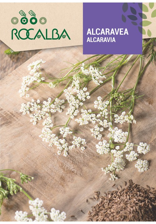 ALCARAVEA