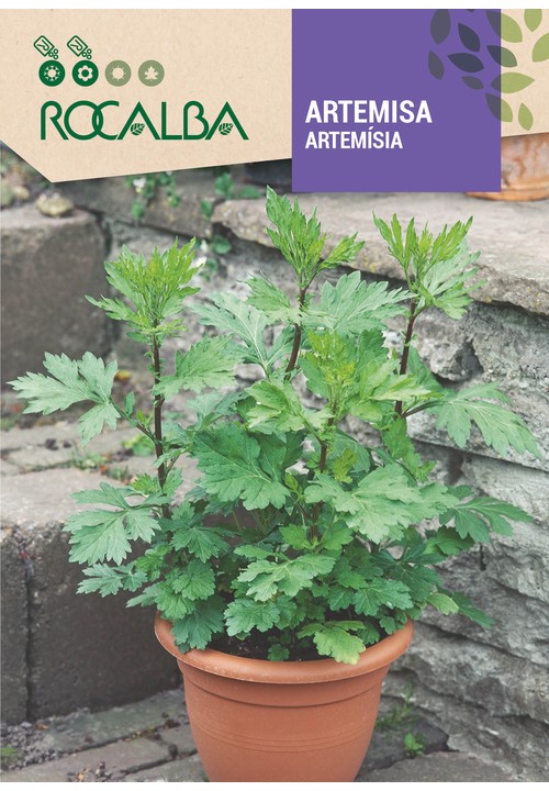 ARTEMISA