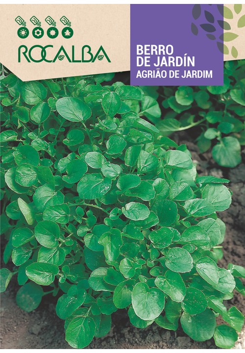 BERRO DE JARDÍN