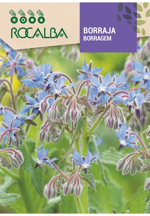 BORRAJA