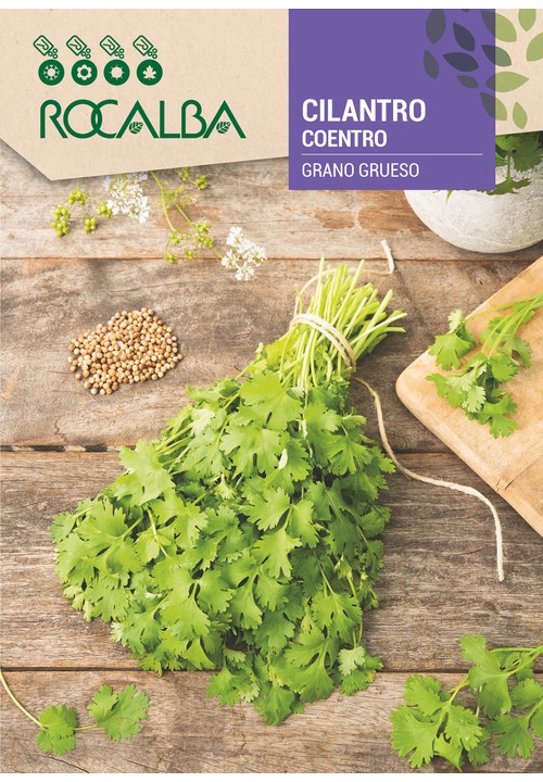 CILANTRO
