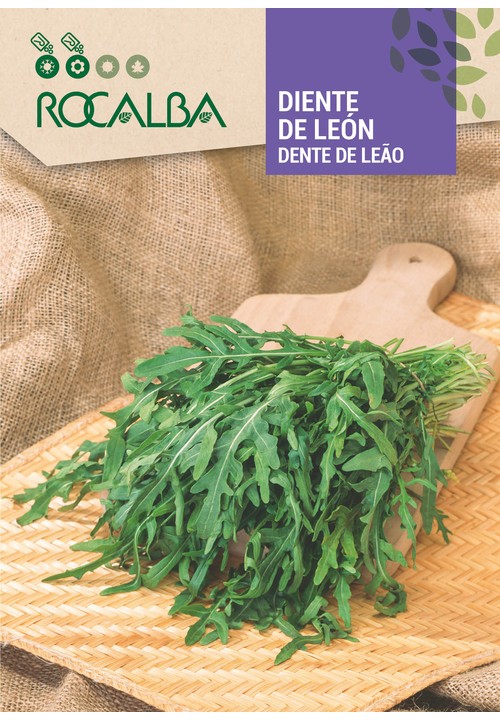 DIENTE DE LEÓN