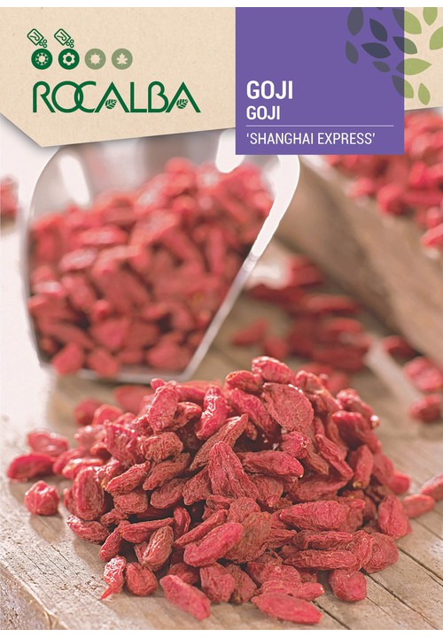 GOJI ‘SHANGHAI EXPRESS’