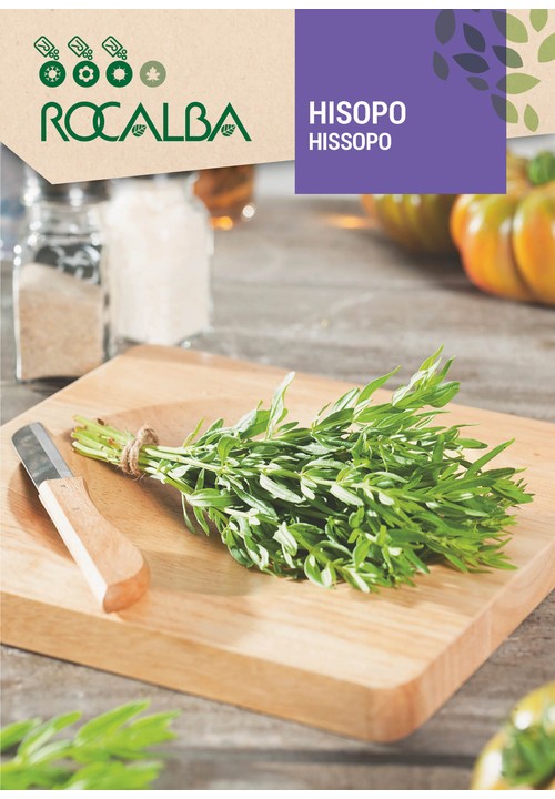HISOPO