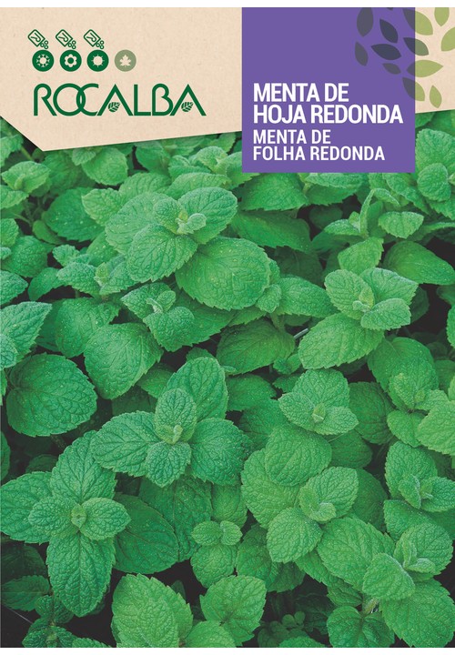 MENTA DE HOJA REDONDA