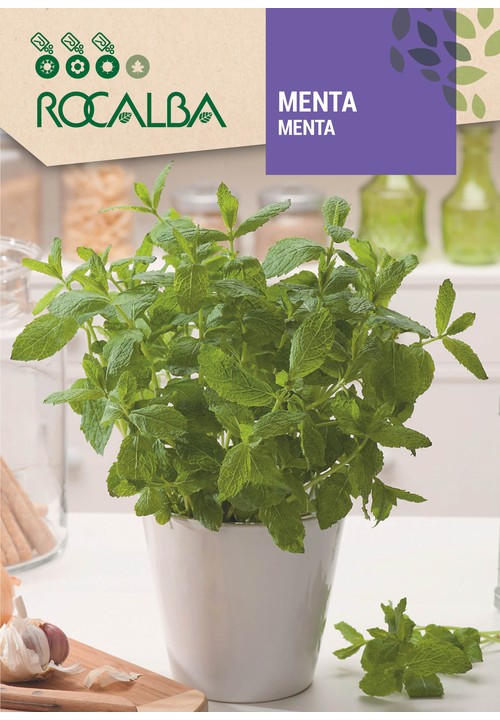 MENTA
