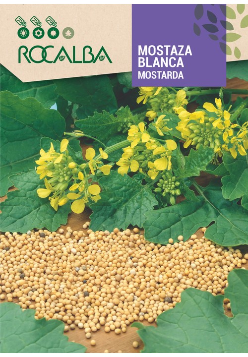 MOSTAZA BLANCA