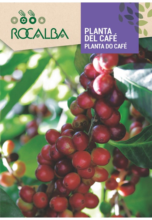 CAFÉ