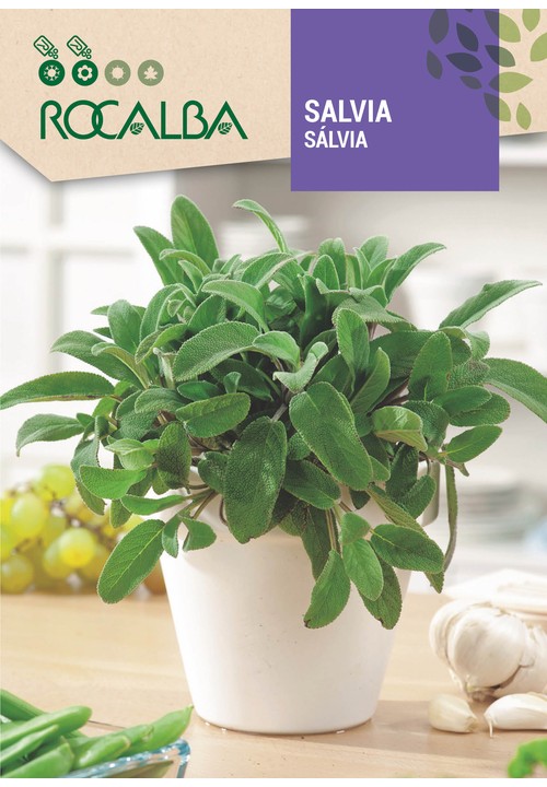 SALVIA