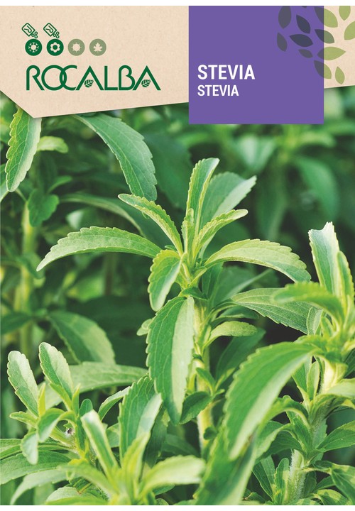 STEVIA