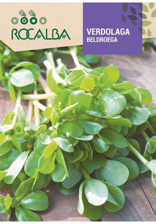 VERDOLAGA