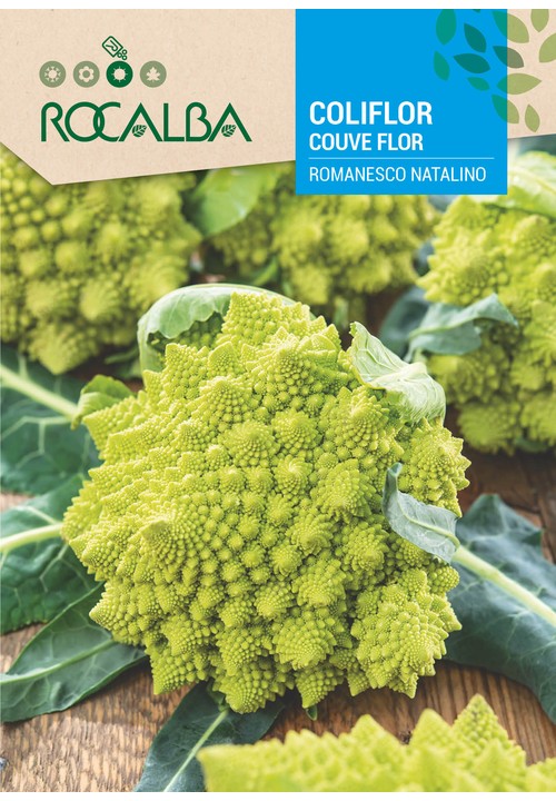 CAULIFLOWER ROMANESCO NATALINO