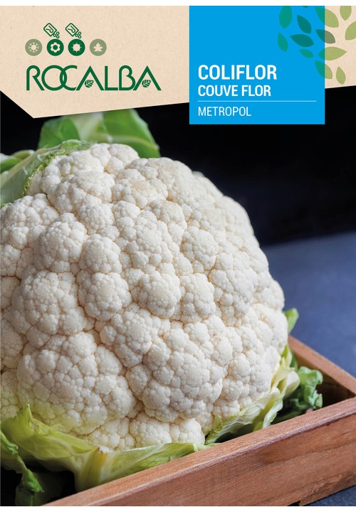 CAULIFLOWER METROPOL