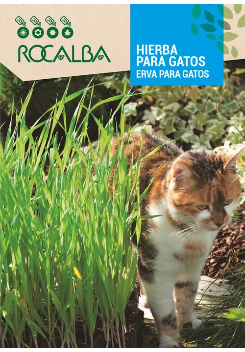 ERVA PARA GATOS