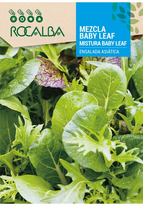 MEZCLA BABY LEAF 'Ensalada Asiática'