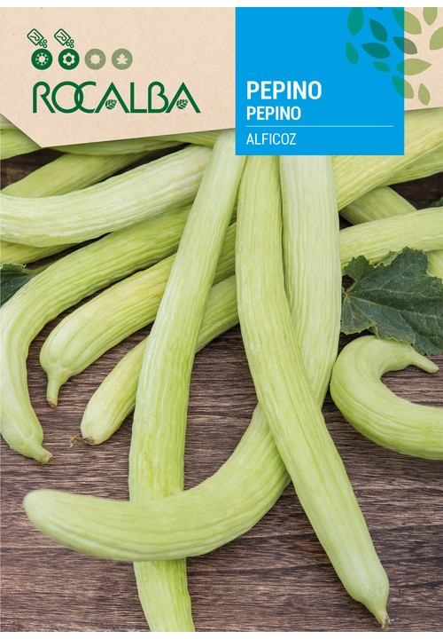 CUCUMBER ALFICOZ