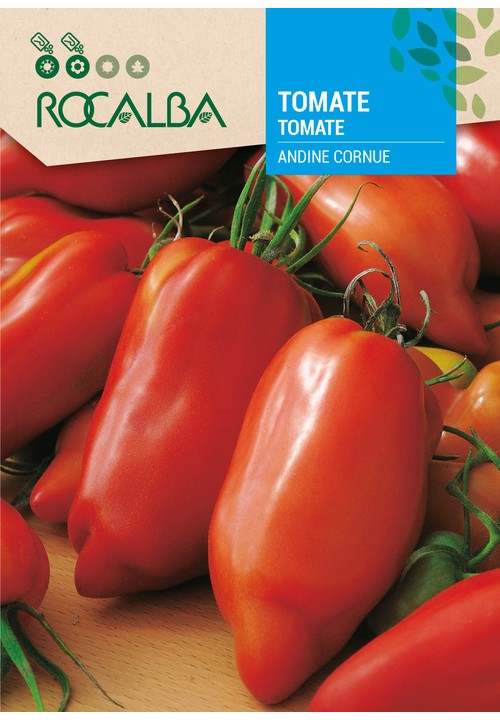TOMATE ANDINE