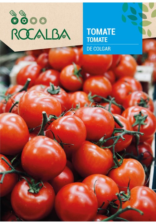 TOMATE DE COLGAR