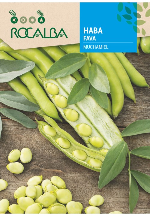 FAVA MUCHAMIEL