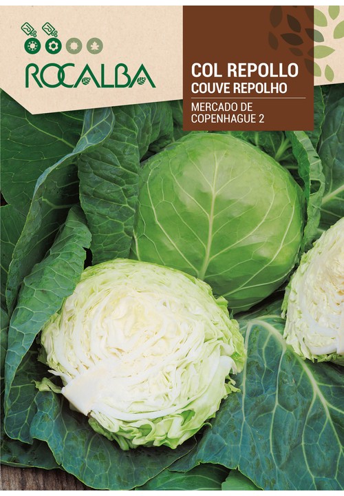 CABBAGE MERCADO DE COPENHAGUE 2