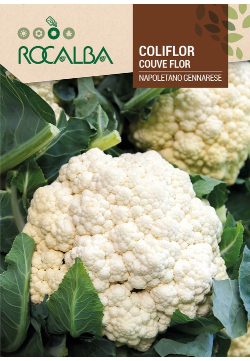 CAULIFLOWER NAPOLETANO GENNARESE