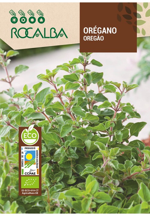 OREGANO