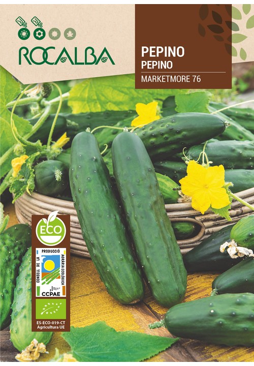 CUCUMBER MARKETMORE 76