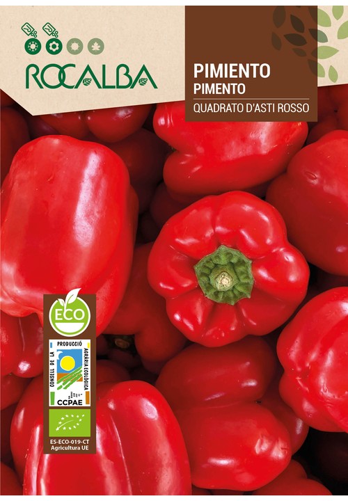 PEPPER QUADRATO D'ASTI GIALLO