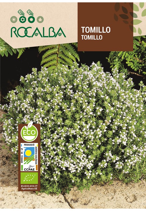 THYME
