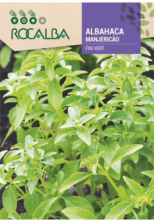 FINE GREEN BASIL