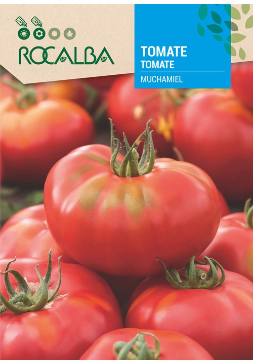 TOMATE MUCHAMIEL