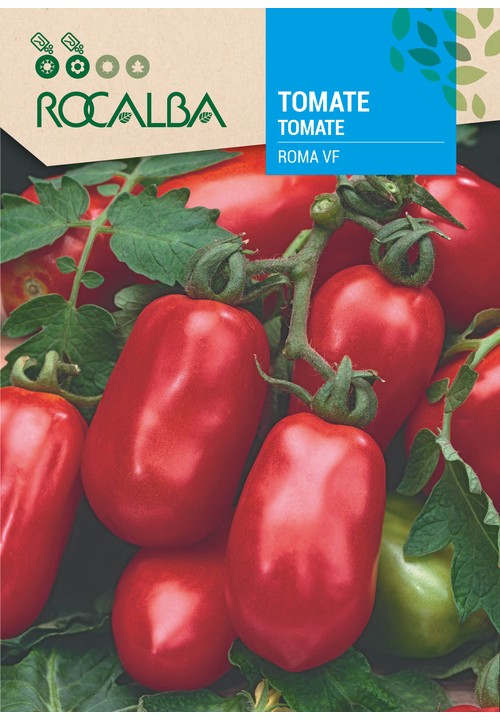 TOMATE ROMA VF