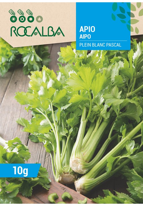 CÉLÉRI PLEIN BLANC PASCAL