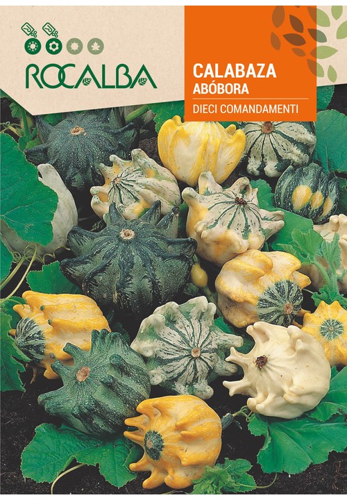 ABÓBORA DIECI COMANDAMENTI