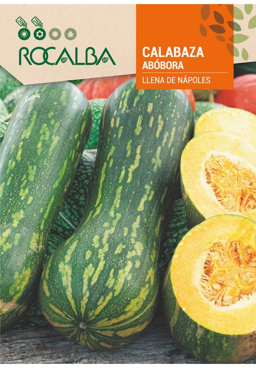 ABÓBORA LLENA DE NÁPOLES