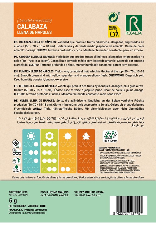 ABÓBORA LLENA DE NÁPOLES