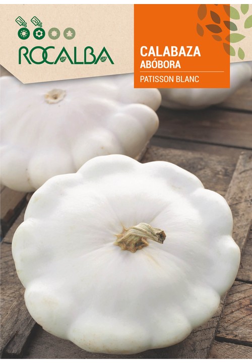 ABÓBORA PATISSON BLANC