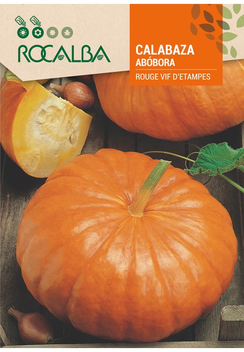 ABÓBORA ROUGE VIF D’ETAMPES