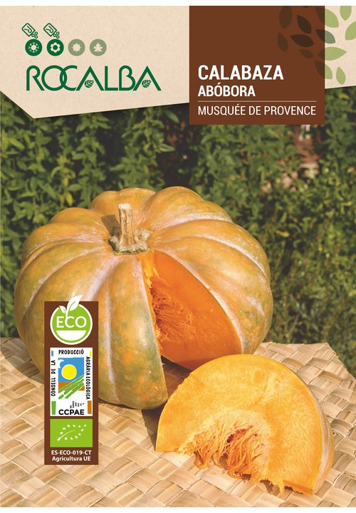 MUSCADE DE PROVENCE PUMPKIN