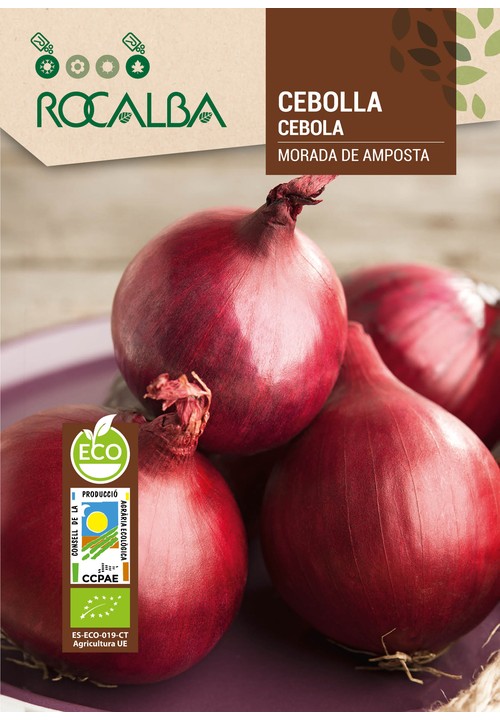 ONION MORADA DE AMPOSTA