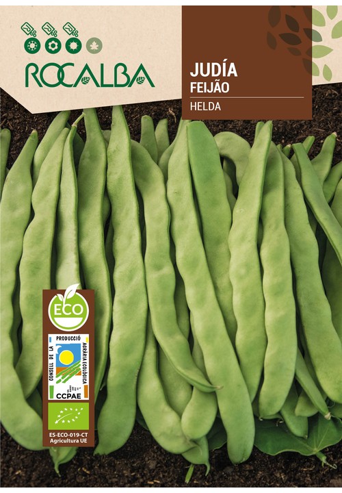 BEAN HELDA