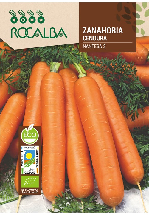 CARROT NANTESA 2