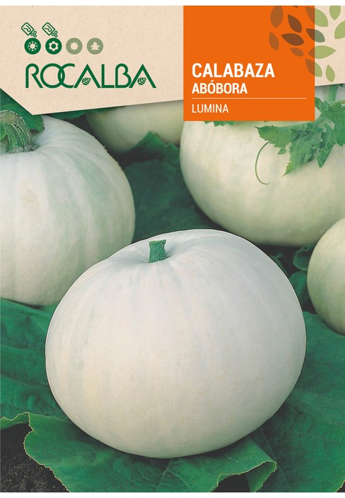LUMINA PUMPKIN