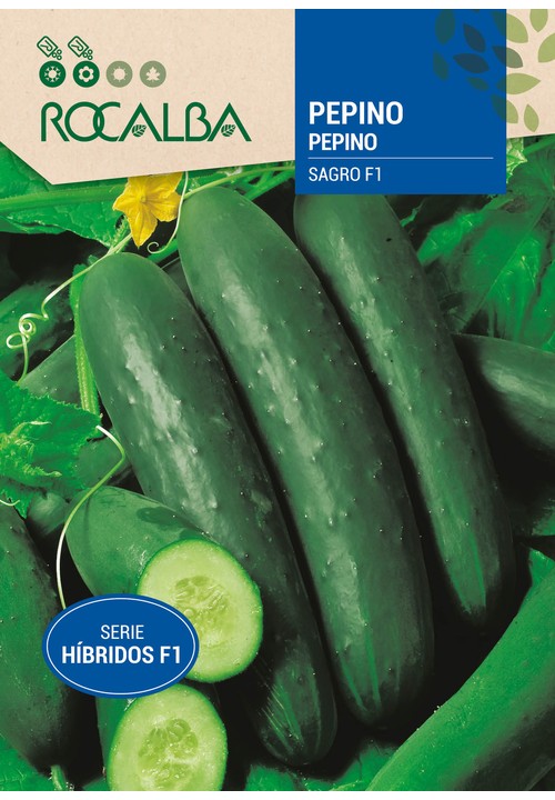 CUCUMBER Hibrido F-1 Sagro