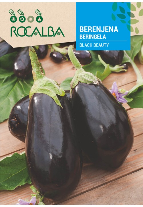 AUBERGINE BLACK BEAUTY