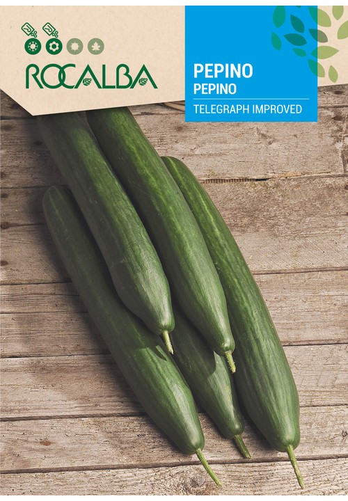 PEPINO TELEGRAPH